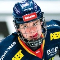 Användarvisningsbild